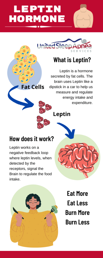 Leptin1 1