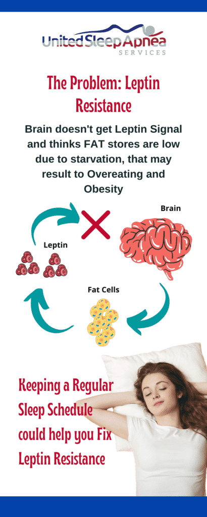 Leptin2 1