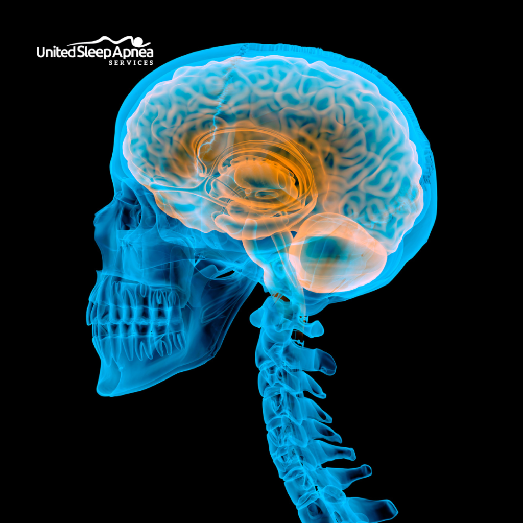 REM Sleep mechanism